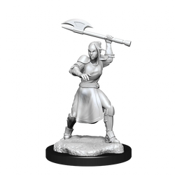 Critical Role Unpainted Miniatures Half-Elf Echo Knight and Echo Female