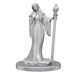 Critical Role Unpainted Miniatures Human Wizard Female & Halfling Holy Warrior Female