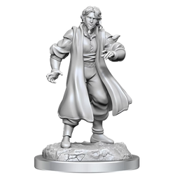 Critical Role Unpainted Miniatures Male Human Sorcerer Merchant & Tiger Demon