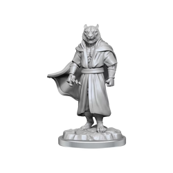 Critical Role Unpainted Miniatures Male Human Sorcerer Merchant & Tiger Demon