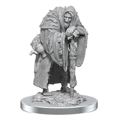 D&D Nolzurs Marvelous Unpainted Miniatures - Wereravens