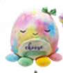 Squishmallows 12 inch Inspirational Message - Choose Kindness