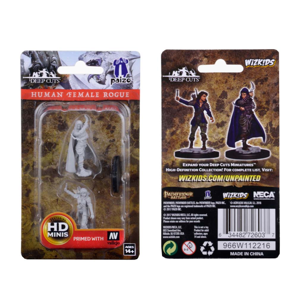 Pathfinder Deep Cuts Unpainted Miniature: Human Female Rogue