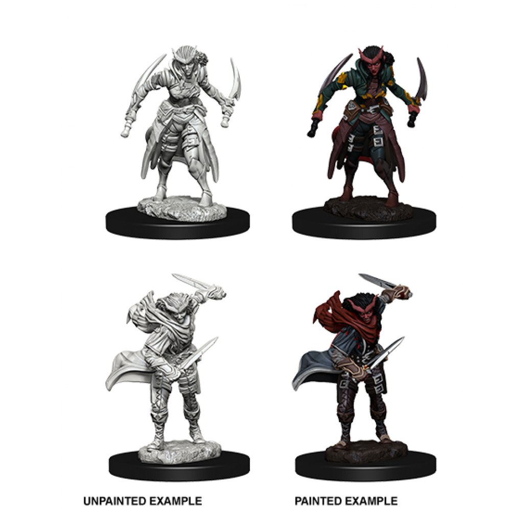 D&D Nolzurs Marvelous Unpainted Miniatures Tiefling Female Rogue